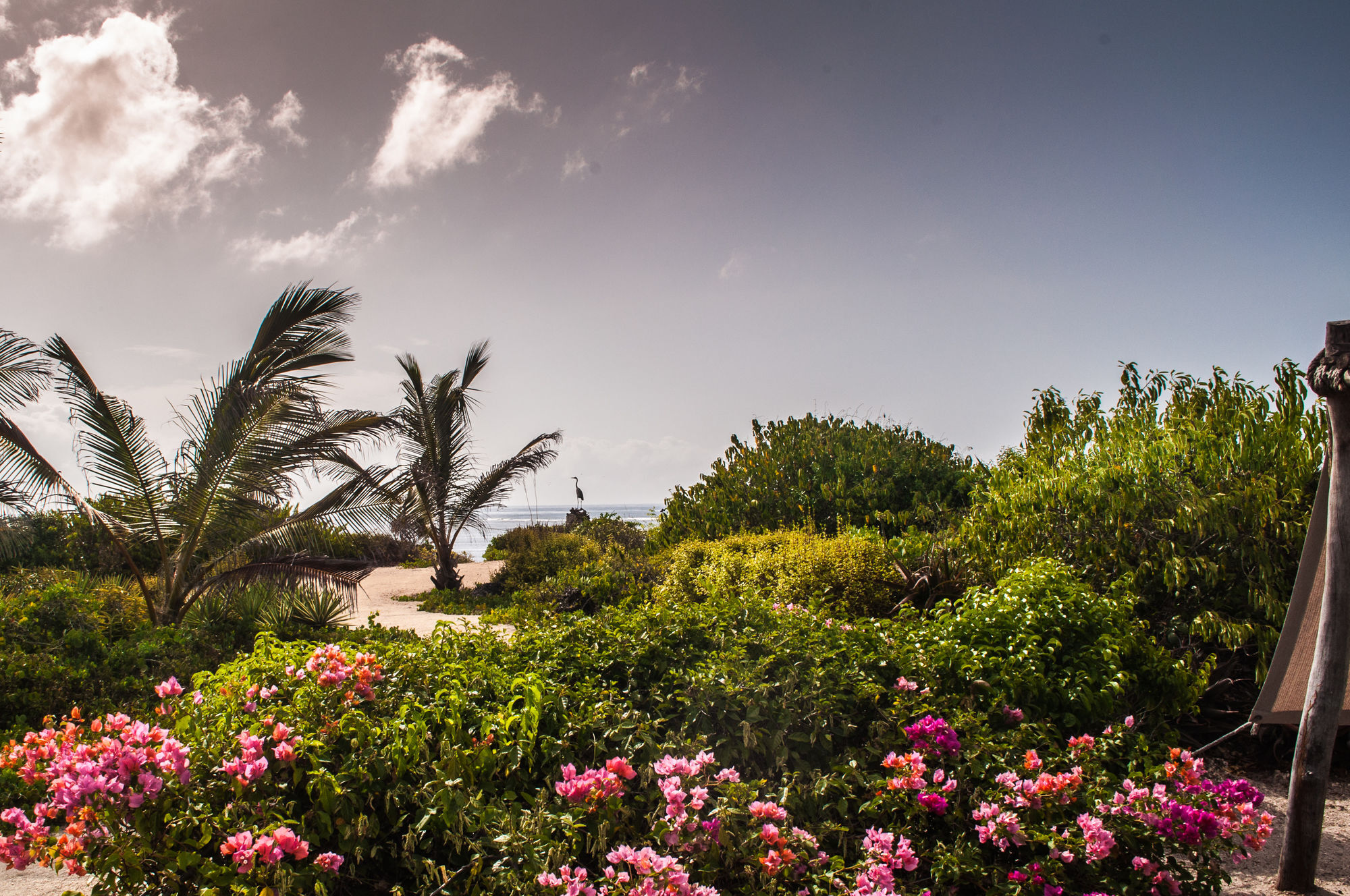 The Charming Lonno Lodge Watamu Exteriör bild